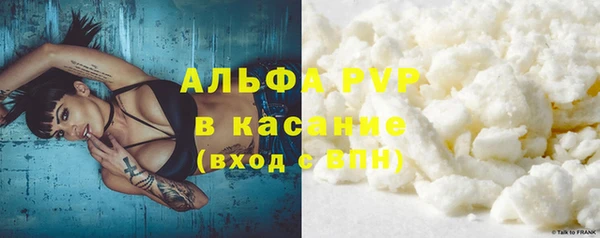 стафф Абинск