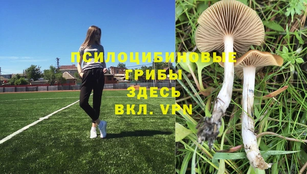 стафф Абинск