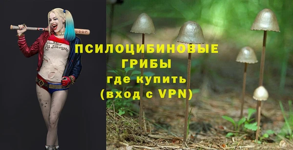 прущая мука Абаза
