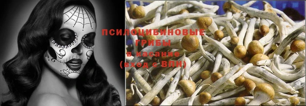 прущая мука Абаза